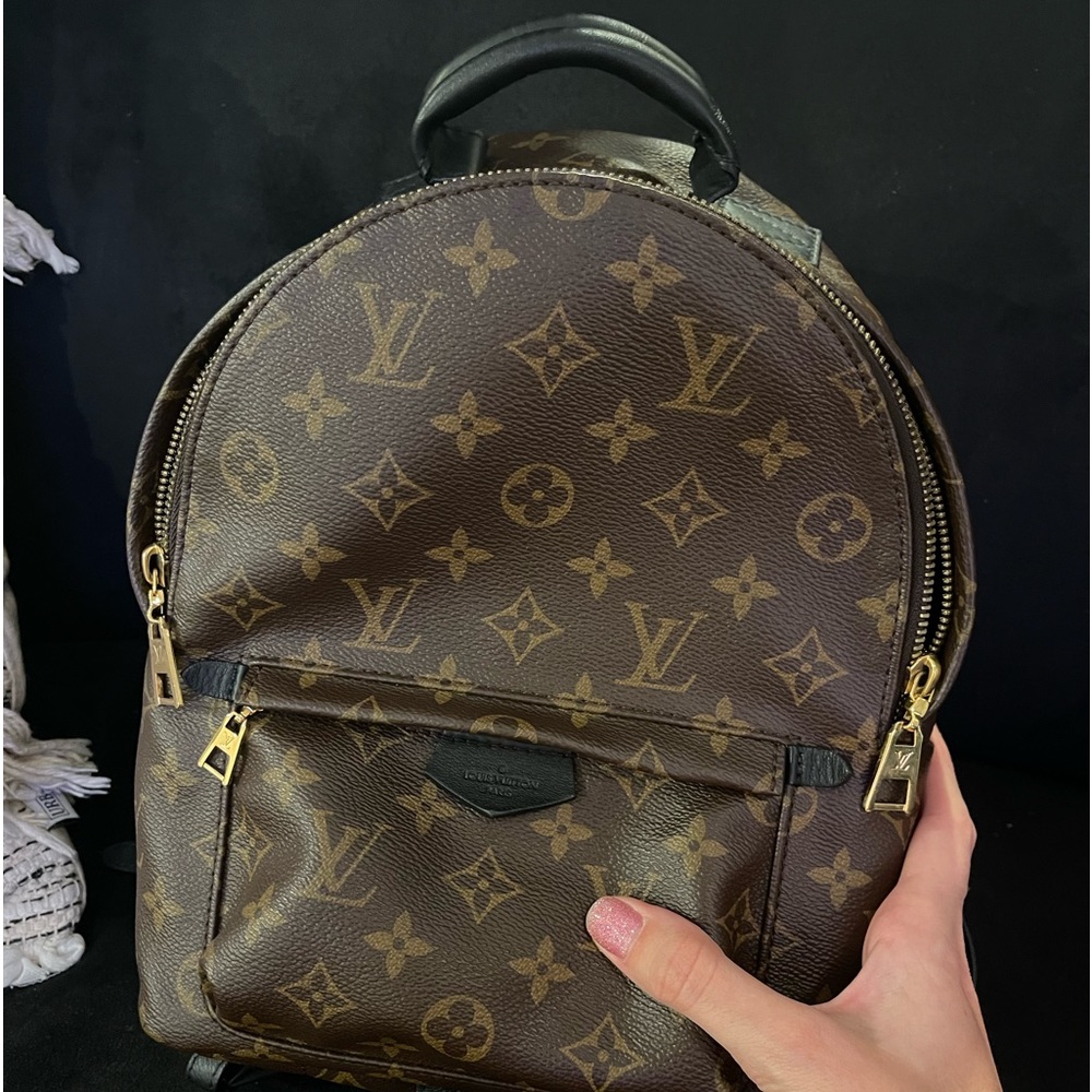 Louis Vuitton Palm Springs Backpack